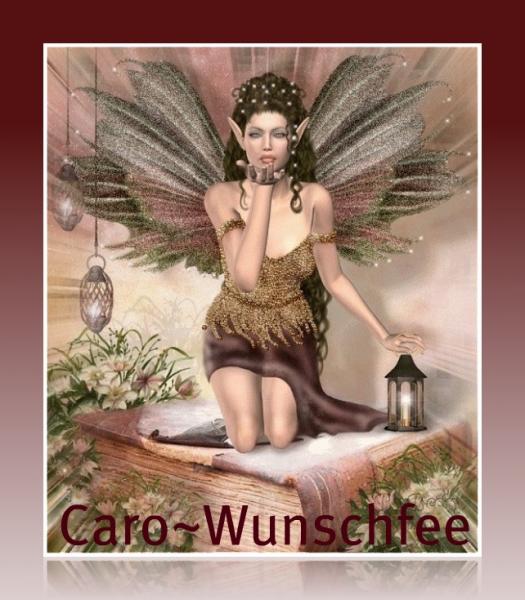 Caro-Wunschfee - Beraterbild 